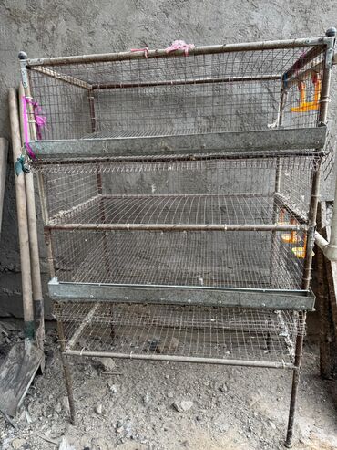 Товары и оборудование для с/х животных: Продается клетка для перепел at lalafo.kg — 6 Товары и оборудование для с/х животных: Продается клетка для перепел — 6