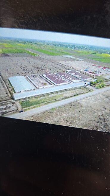Torpaq sahələrinin satışı: Qusçuluğ satılır Sabirabad rayonu qaralar kendi qiymeti razilaşma yolu