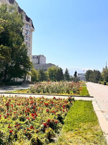 3 комнаты, Собственник, Без подселения, С мебелью полностью