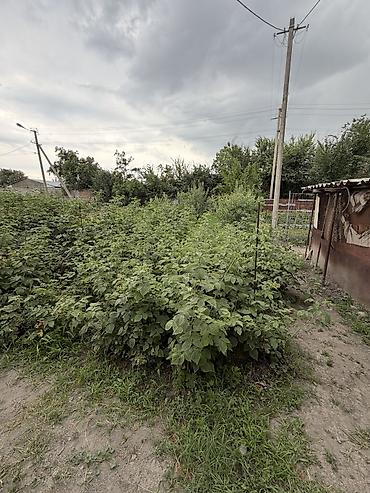 новопокровка 6: Продается 3-комнатная квартира индивидуальной планировки в районе — 9