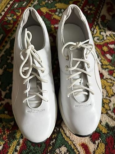 Кроссовки, 40, 40.5, Puma, Новый, цвет - Белый