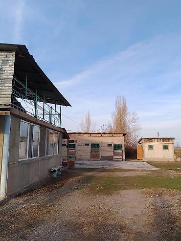 Продажа коттеджей и домов: Продаётся дача с хозяйственными постройками и просторным двором. - — 2