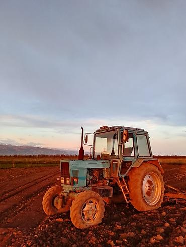 Тракторы МТЗ (Беларус): Трактор Белорус МТЗ (серия МТЗ-/82 передок иштейт Сатылат адрес — 11