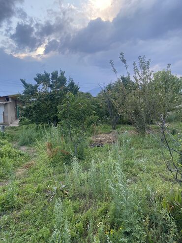 Продажа домов: Дом, 70 м², 3 комнаты, Собственник, Косметический ремонт — 5