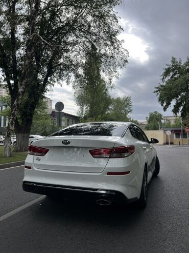 крыло на портер 2: Kia K5: 2021 г., 2 л, Автомат, Газ, Седан
