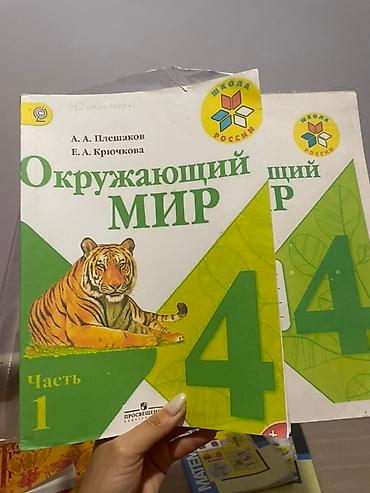 языки: Комплект учебников для 4 класса, включающий пособия по русскому языку — 7