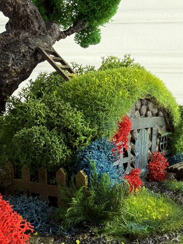 Декоративные цветы: В переводе с японского Бонсай означает «дерево, выращенное в блюде» at lalafo.kg — 31 Декоративные цветы: В переводе с японского Бонсай означает «дерево, выращенное в блюде» — 31