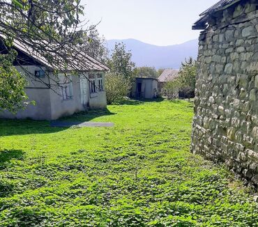 bine atciliqda ev satilir: Satlıq torpaq sahəsi və həyət evi - Yaşıl, düz relyefli geniş həyət