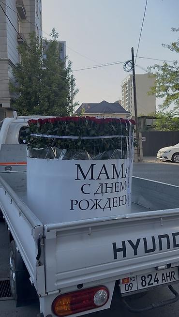 отургуч ош: Срочно ! ! ! Сегодняшние !! . Продаю 1001 Розу Цена 30 000 с доставкой — 2