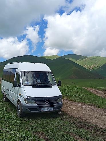 w210 e320: Пункт назначения: Все направления, Количество мест: 18, Лицензия №: 00В005382 — 3