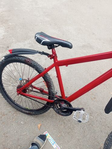 Şəhər velosipedləri: Dağ velosipedi Adidas, 26"