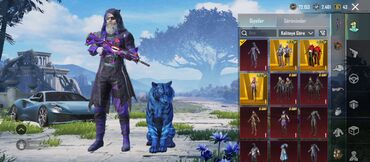 Digər aksesuarlar: PUBG Mobile hesabı – premium kolleksiya və nadir görünüşlər - Hesab — 2