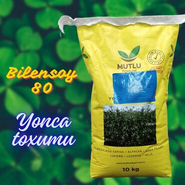 yovsan sekli: Yonca toxumu - Bilensoy Türkiyə - Mutlu Toxumu Bilensoy 80 Yeni