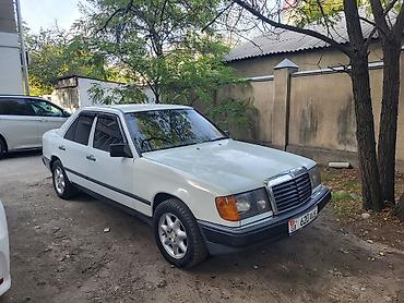 знак мерседес: Mercedes-Benz W124: 1988 г., 3 л, Седан — 1