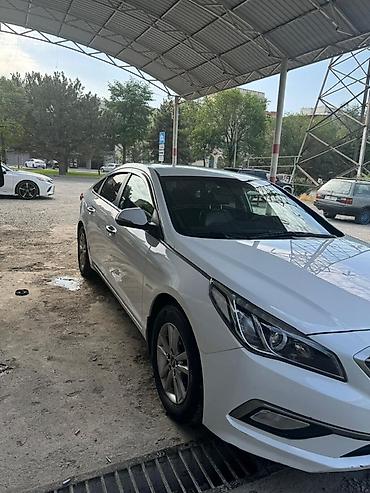 соната элф: Hyundai Sonata: 2017 г., Газ, Седан — 2