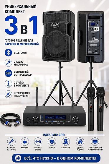 behringer 1832: Готовый фирменный универсальный комплект 5×1 для: Караоке кабинок — 2