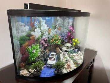 Akvariumlar: Yumru akvarium, 200 l, Ünvandan götürmə