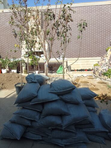 Bağbanlar: Bağban xidməti qazon biçmək ağacların biçilməsi budanması — 7