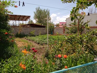 Продажа домов: Дом, 60 м², 4 комнаты, Собственник, Косметический ремонт — 10