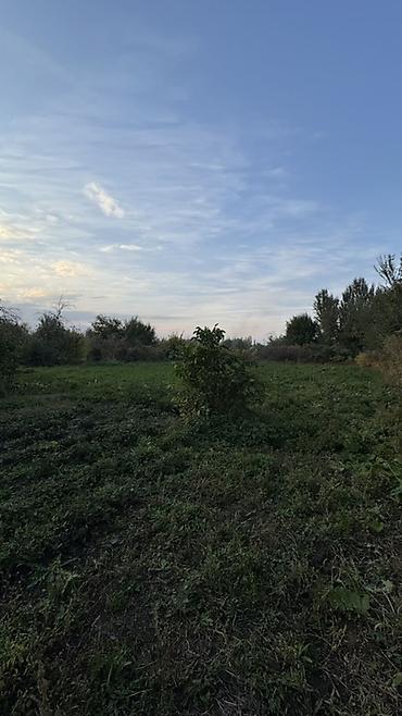 үй старый талчок: 🏡 ПРОДАЁТСЯ ДОМ С БОЛЬШИМ УЧАСТКОМ И ГОТОВЫМ ХОЗЯЙСТВОМ! 📍 Село — 4