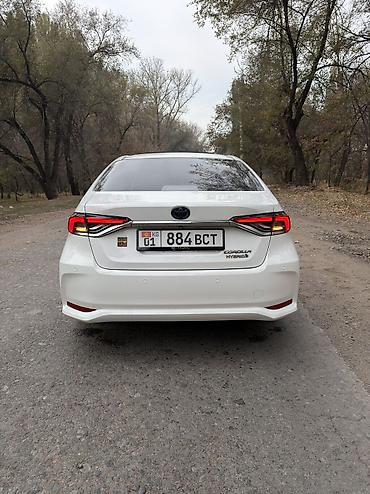 byd sealion 05: Toyota Corolla: 2021 г., 1.8 л — 3