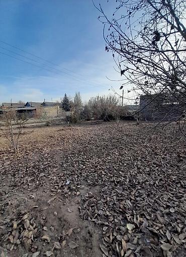 Продажа участков: 32 соток, Красная книга at lalafo.kg — 4 Продажа участков: 32 соток, Красная книга — 4