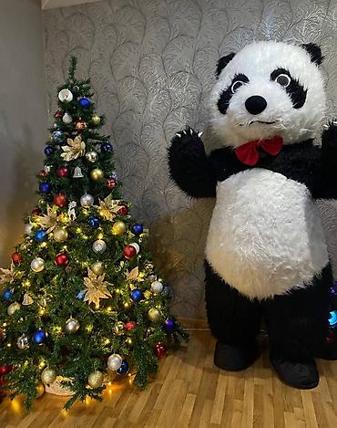 bizon promo: Panda maskotu – tədbirlər üçün 3D kostyum DƏRZİYƏ EHTİYAC VAR — 2