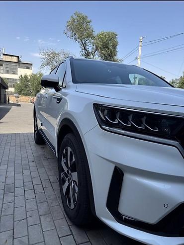 95: Kia Sorento: 2020 г., 2.2 л, Робот, Дизель, Кроссовер — 4