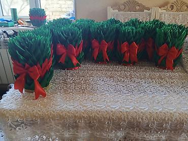 Novruz üçün dekorativ “səməni” kompozisiyaları - Yaşıl süni lalafo.az -da Novruz üçün dekorativ “səməni” kompozisiyaları - Yaşıl süni