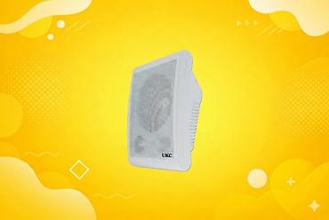 Audio: Divar dinamiki "UKC WS-20GS" Yeni Güc : 10W Rəng: Ağ Çay evləri — 1