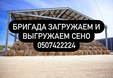 Другие специальности: Бригада занимаемся Погрузкой и выгрузкой сено