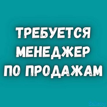 онлайн работа без опыта бишкек: Менеджер по продажам