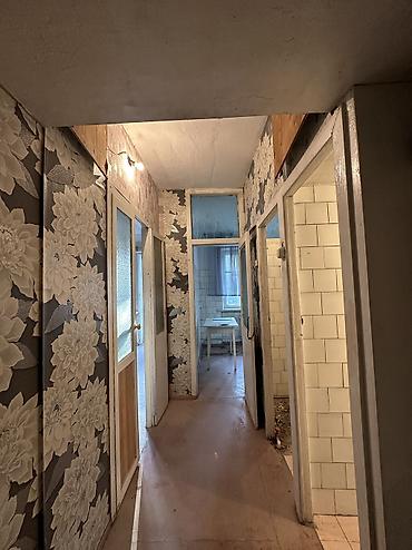 Долгосрочная аренда квартир: 2 комнаты, Собственник — 5