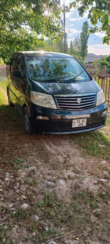 стрим 2 куб: Toyota Alphard: 2003 г., 2.4 л, Автомат, Газ, Вэн/Минивэн