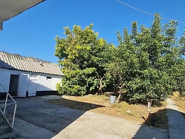 house kg бишкек: 105 м², 6 комнат и более, Можно с животными — 3