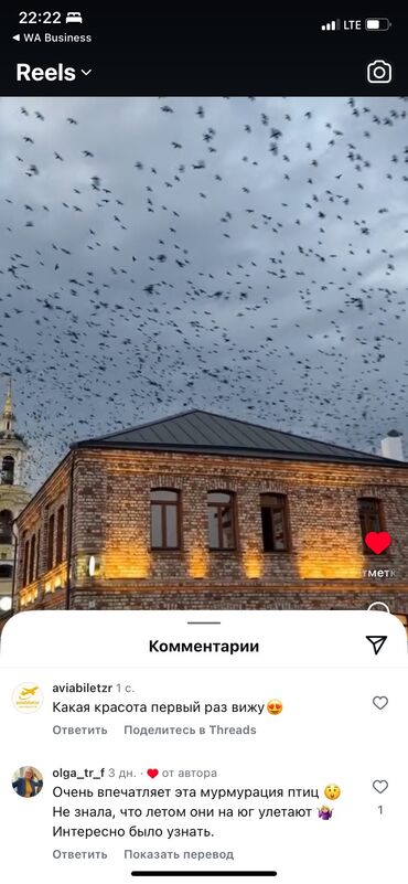 с подселением комнаты: 2 комнаты, Собственник, С подселением