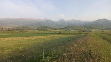 Продажа участков: 5 соток, Для строительства — 15