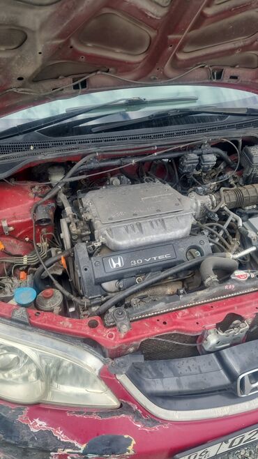 разбитые машины: Honda Odyssey: 2002 г., 3 л, Автомат, Газ, Вэн/Минивэн
