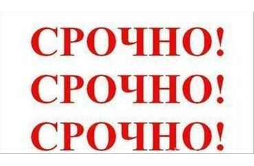 Другие специальности: Ищу работу Чынгыз 17 лет Статус: студент Контактные данные: +