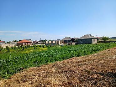 Həyət evləri və villaların satışı: Satış üçün həyətyanı sahə və ev - Geniş, hasarlanmış torpaq sahəsi — 4