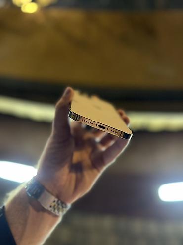 iphone 12 pro max case: IPhone 12 Pro Max, Gümüşü, Face ID — 5