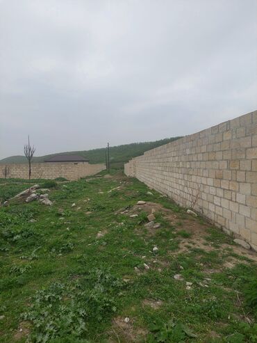 Torpaq sahələrinin satışı: 31 sot, Kənd təsərrüfatı, Kupça (Çıxarış) -da lalafo.az — 5 Torpaq sahələrinin satışı: 31 sot, Kənd təsərrüfatı, Kupça (Çıxarış) — 5