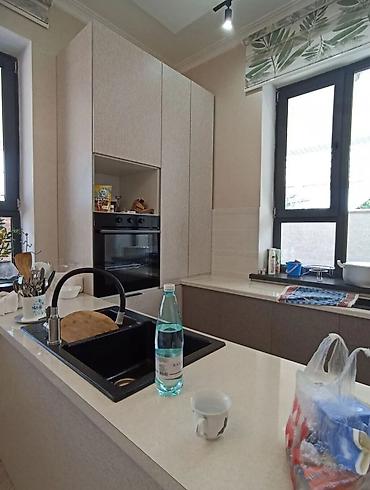 дом или участок: 240 м², 4 комнаты, Без животных — 8