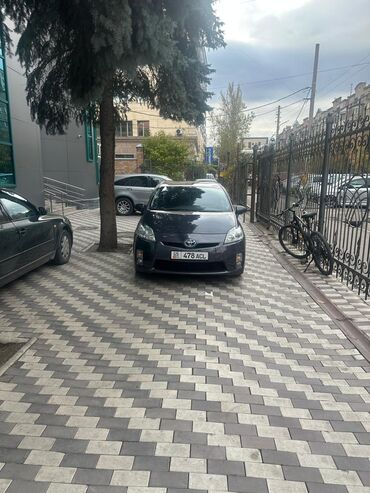 тойота пирус: Toyota Prius: 2010 г., 1.8 л, Вариатор, Гибрид, Универсал