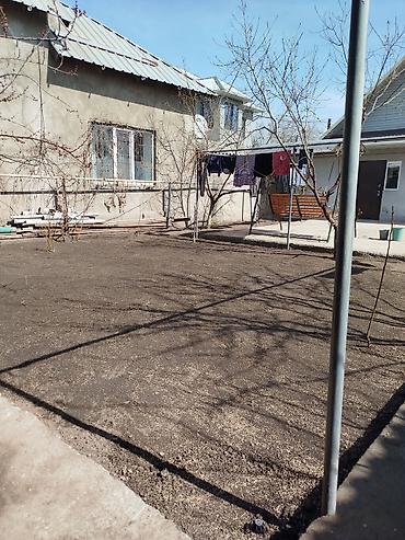 Газон: Сеем газон, Поссев газон, Газон себебиз 🌱 под ключ 🏡по городу бишкек — 22