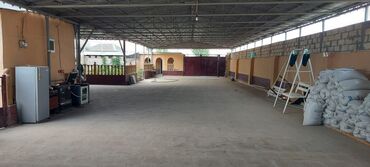 Toyuqlar: Ünvan: salyan rayonu, parça xelec kendi, şirvan yolunun üstü 50 sot -da lalafo.az — 8 Toyuqlar: Ünvan: salyan rayonu, parça xelec kendi, şirvan yolunun üstü 50 sot — 8