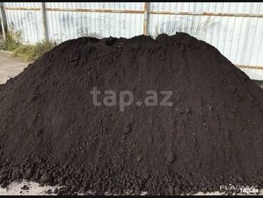 Ağaclar: Hər vaxtınız xeyir olsun dəyərli müştərilərimiz. Bizə vaxt ayırdığınız — 8