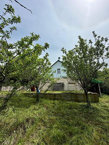 Продажа дач: 🏡🔥 ПРОДАЁТСЯ ДАЧА В ТАШ-МОЙНОКЕ! ДТ: «Мичуринец» 🌿 💥 Участок — 6 — 5