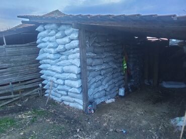 Ugalj i drvo za ogrev: Leskovački ćumur u većim količinama; Bez dobrog ćumura – nema dobrog — 5