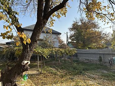 Продажа коттеджей и домов: Продам дом 100кв участок 6 соток по факту 7 соток (Красная книга) — 5